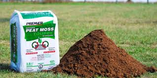 Peat Moss 1 cubic foot – The Growing Scene