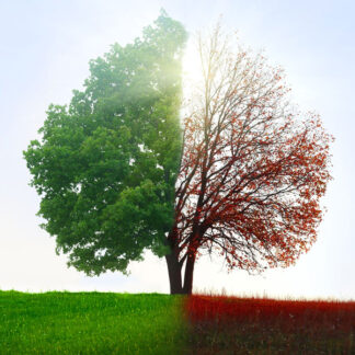 2025 Landscaping and Garden Improvement Services
